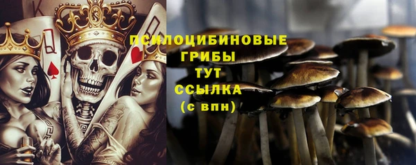 spice Краснослободск