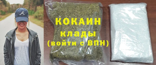 spice Краснослободск