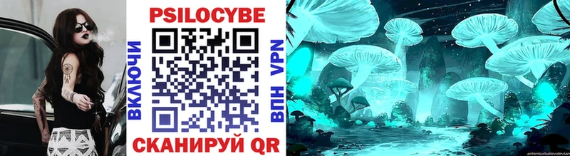 это наркотические препараты  Нижняя Салда  Галлюциногенные грибы Psilocybine cubensis 